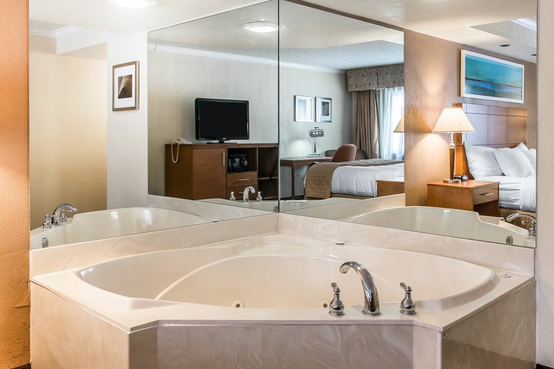 Clarion Hotel Detroit Metro Airport - Romulus, MI