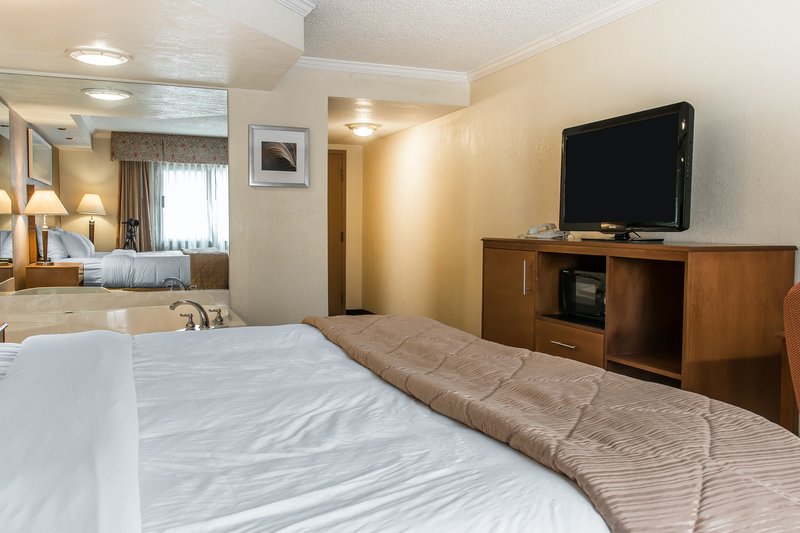Clarion Hotel Detroit Metro Airport - Romulus, MI