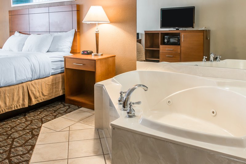 Clarion Hotel Detroit Metro Airport - Romulus, MI