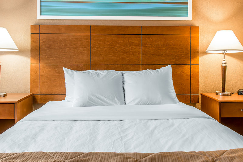 Clarion Hotel Detroit Metro Airport - Romulus, MI