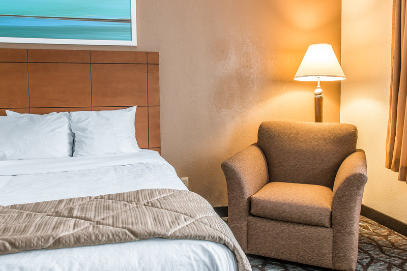 Clarion Hotel Detroit Metro Airport - Romulus, MI
