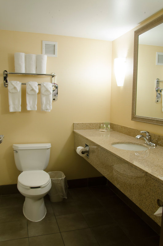 Holiday Inn-Kalamazoo - Kalamazoo, MI