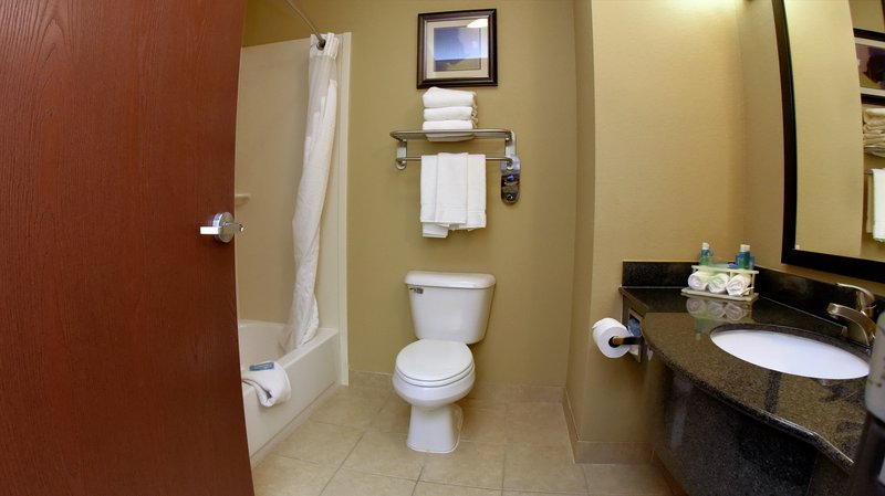 Holiday Inn Express & Suites BATON ROUGE NORTH - Zachary, LA