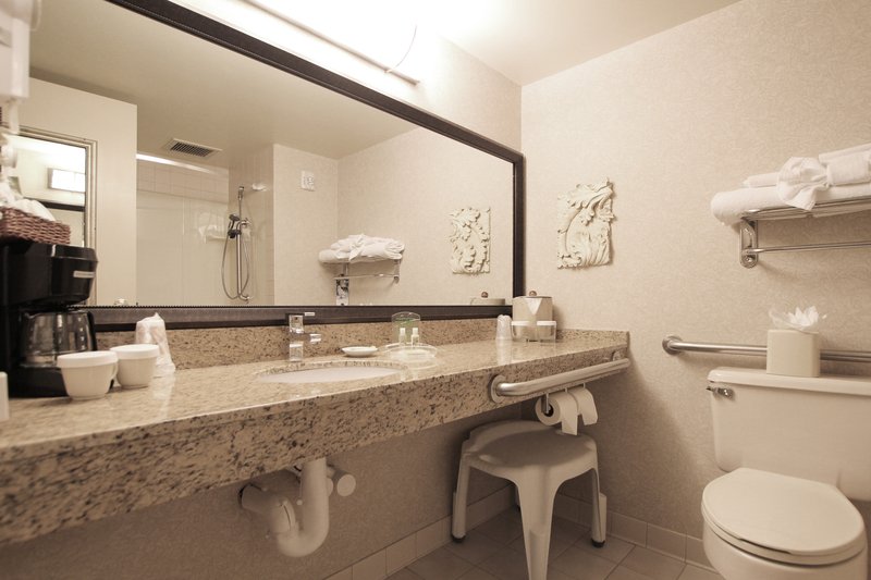 Holiday Inn MINNEAPOLIS AIRPORT SE - EAGAN - Saint Paul, MN