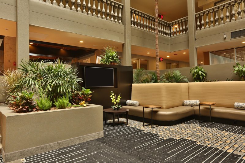 Doubletree Suites By Hilton Hotel McAllen - McAllen, TX