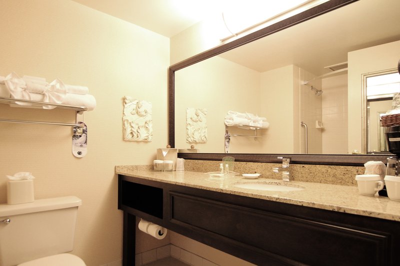 Holiday Inn MINNEAPOLIS AIRPORT SE - EAGAN - Saint Paul, MN