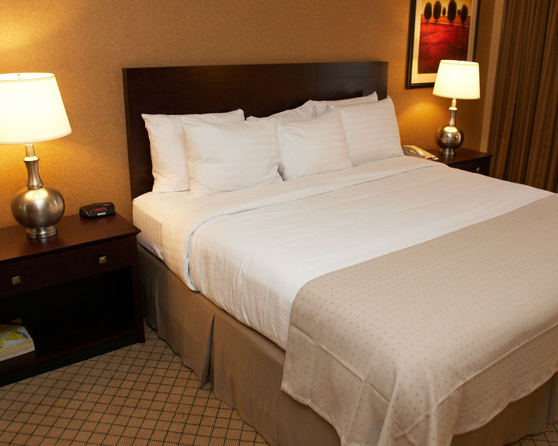 Holiday Inn Orangeburg-Rockland/Bergen Co - Thiells, NY