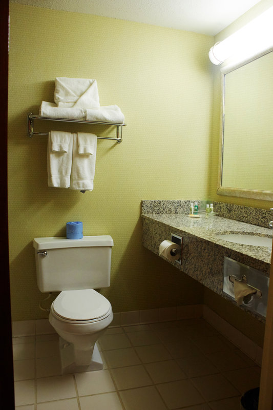 Holiday Inn LYNCHBURG - Lynchburg, VA
