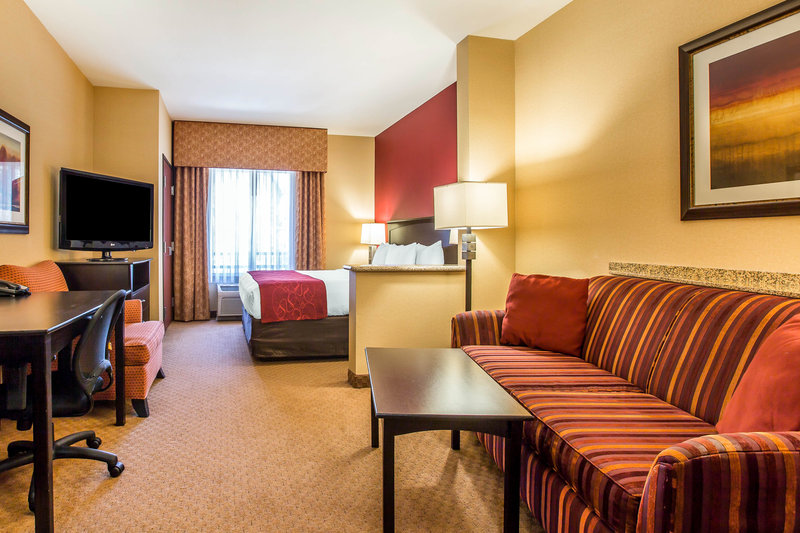 Comfort Suites Ontario Convention Center - Ontario, CA