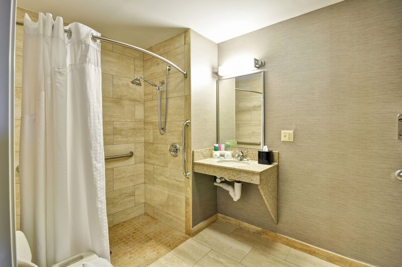 Holiday Inn Express ROMULUS / DETROIT AIRPORT - Romulus, MI