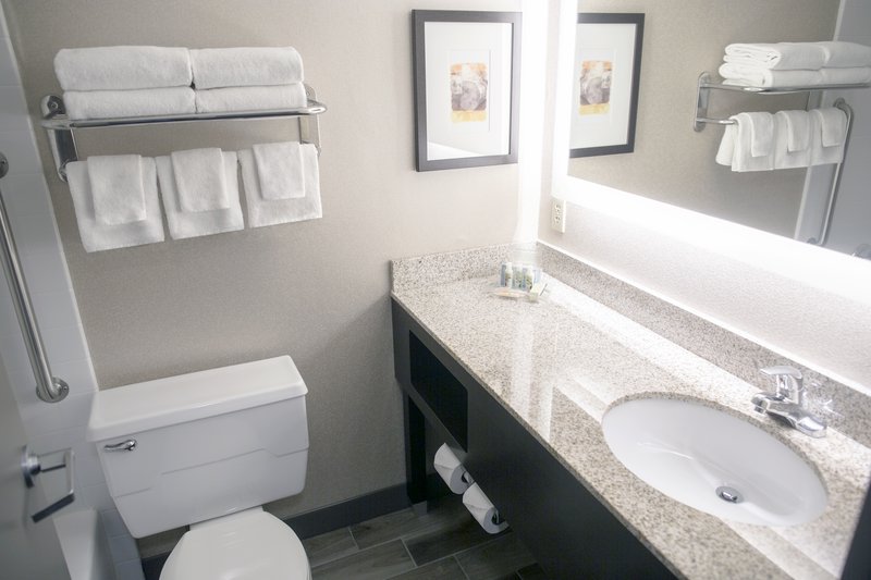 Holiday Inn - Fargo, ND