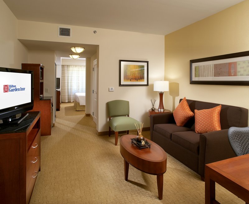 Hilton Garden Inn Dallas/Arlington - Arlington, TX