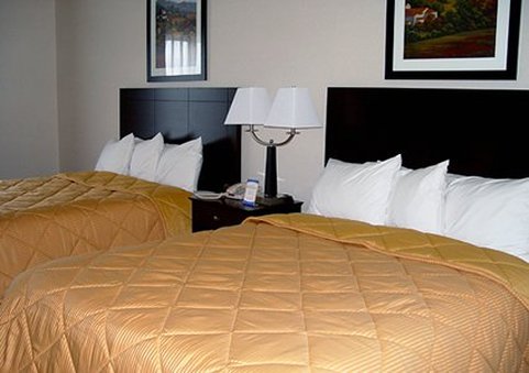 Comfort Inn & Suites - Creswell, OR