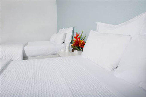 Island House South Beach Miami Beach Hotels - Miami Beach, FL