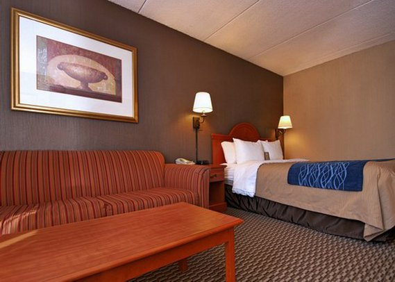 Comfort Inn - Amherst, NY