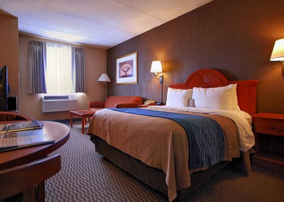 Comfort Inn - Amherst, NY