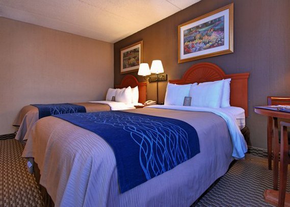 Comfort Inn - Amherst, NY