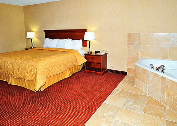 Comfort Inn - Springboro, OH