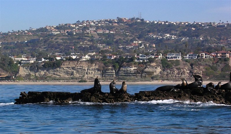 Holiday Inn Express SAN CLEMENTE NORTH - Ladera Ranch, CA