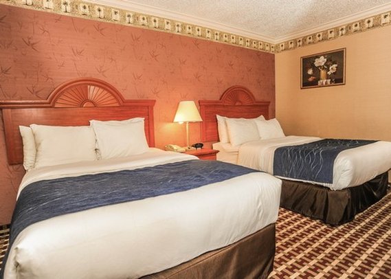 Comfort Inn-Quakertown - Quakertown, PA