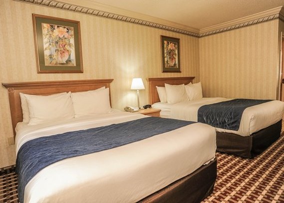 Comfort Inn-Quakertown - Quakertown, PA