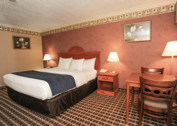 Comfort Inn-Quakertown - Quakertown, PA