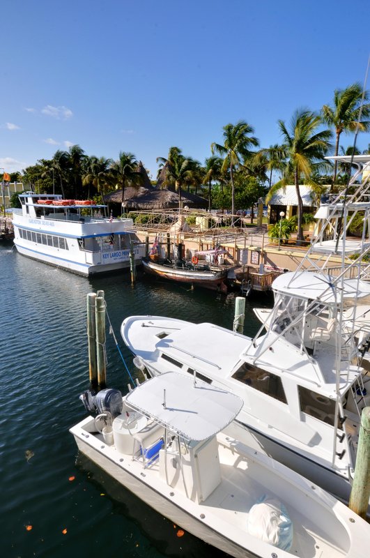 Holiday Inn KEY LARGO - Tavernier, FL