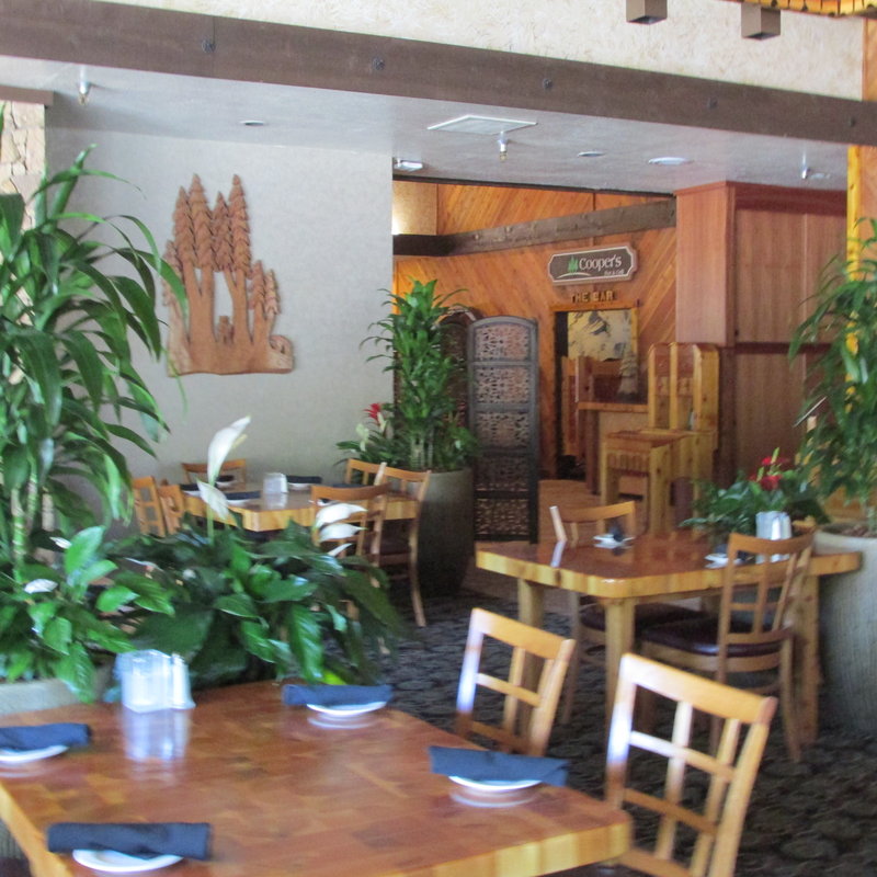 Best Western Plus Tree House - Mount Shasta, CA