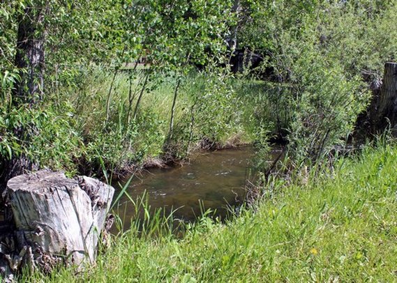 Rodeway Inn - Gunnison, CO