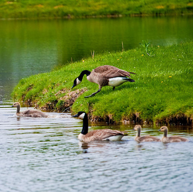 Erie Islands Resort & Marina - Port Clinton, OH