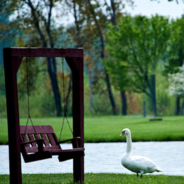 Erie Islands Resort & Marina - Port Clinton, OH