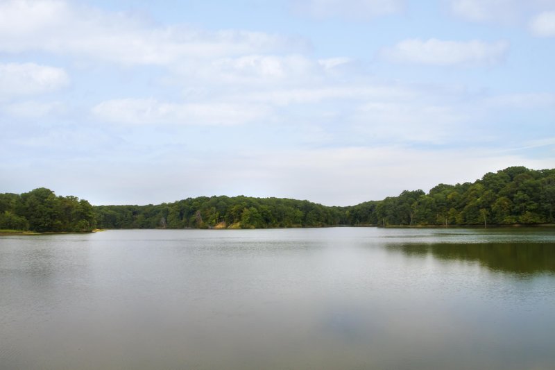 Hampton Inn-Forrest City - Forrest City, AR