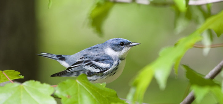 Holiday Inn Express HASTINGS - Hastings, MI