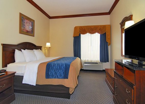Comfort Inn - Statesboro, GA