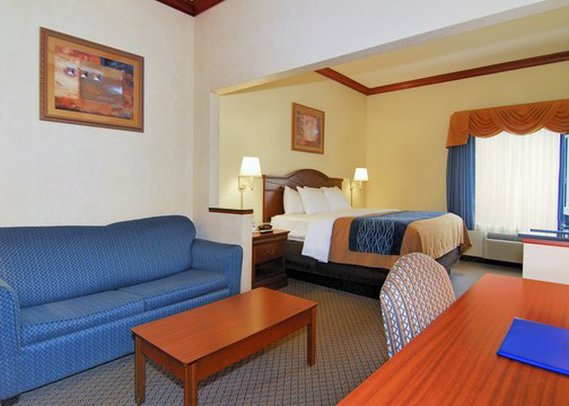 Comfort Inn - Statesboro, GA