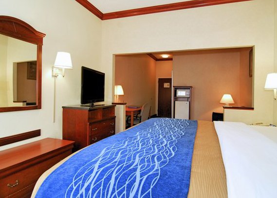 Comfort Inn - Statesboro, GA