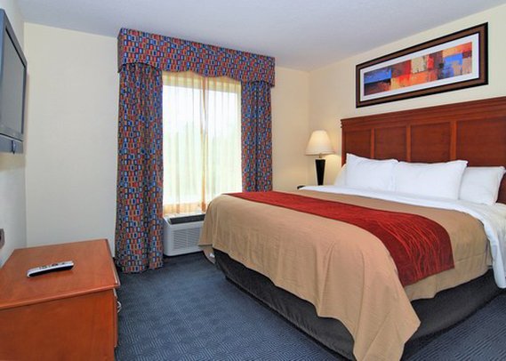Comfort Inn - Statesboro, GA