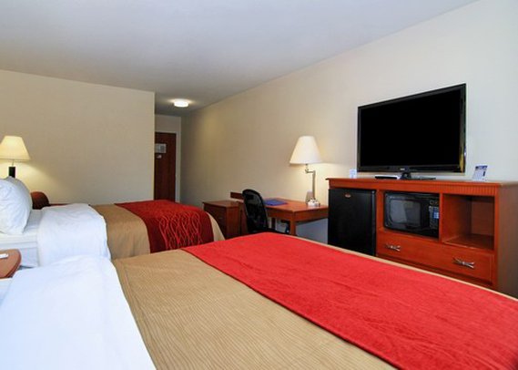 Comfort Inn - Statesboro, GA