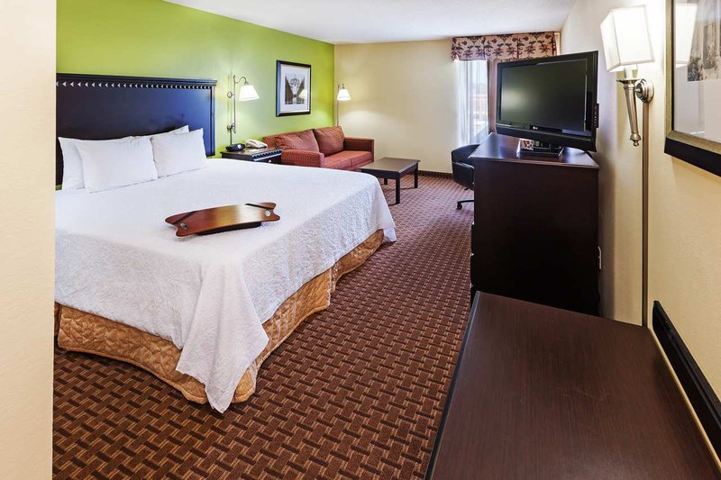 Hampton Inn-Conway - Conway, AR