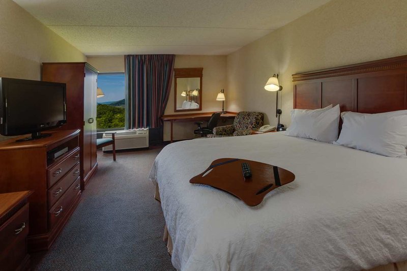 Hampton Inn Hazleton - Hazleton, PA