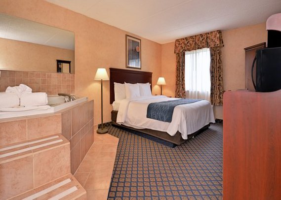 Comfort Inn - Coldwater, MI