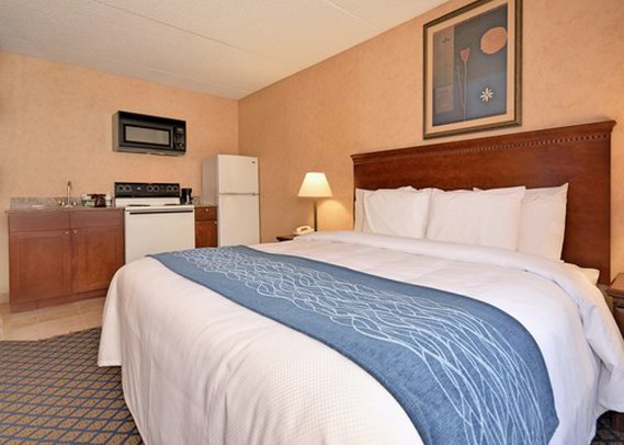 Comfort Inn - Coldwater, MI