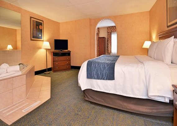 Comfort Inn - Coldwater, MI
