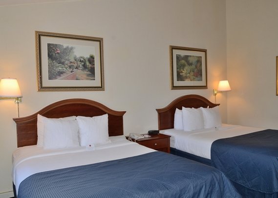 Clarion-Conference Ctr - Northampton, MA