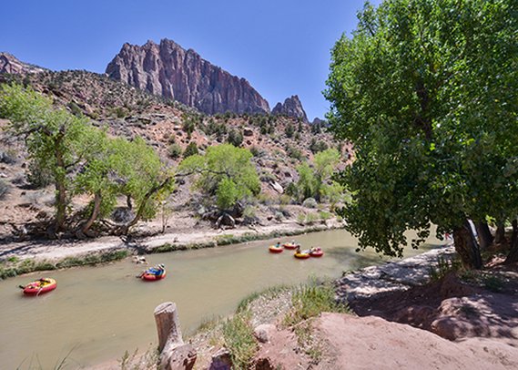 Quality Inn At Zion Park - Springdale, UT