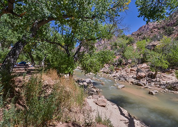 Quality Inn At Zion Park - Springdale, UT