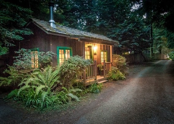 Emerald Forest of Trinidad - Trinidad, CA