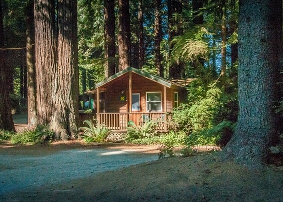 Emerald Forest of Trinidad - Trinidad, CA