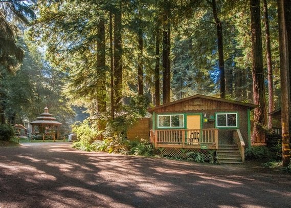 Emerald Forest of Trinidad - Trinidad, CA