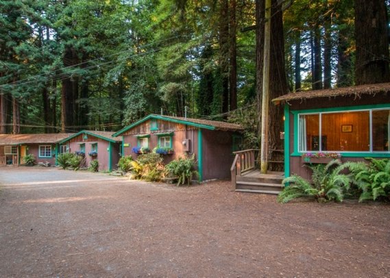 Emerald Forest of Trinidad - Trinidad, CA
